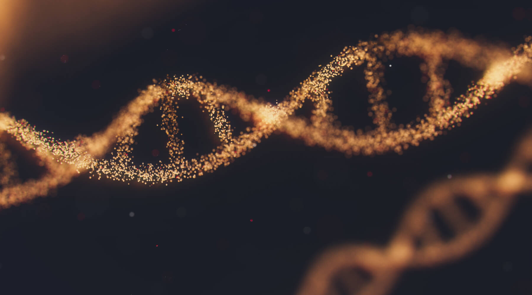 Discover the Mighty Vitamin B Complex, the Benefits for Energy and Brain Health - V3 Apparel seamless workout leggings, gym tights, fitness sports bras and tank top - good mood