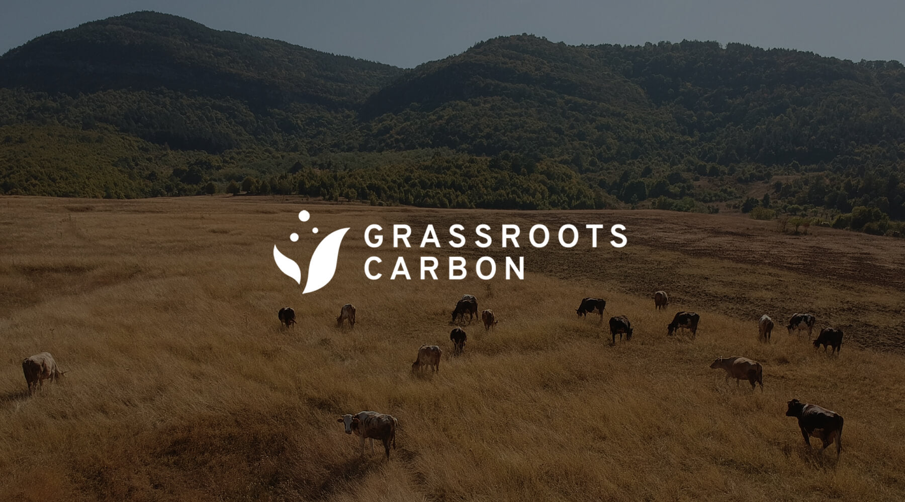 V3 x Grassroots Carbon